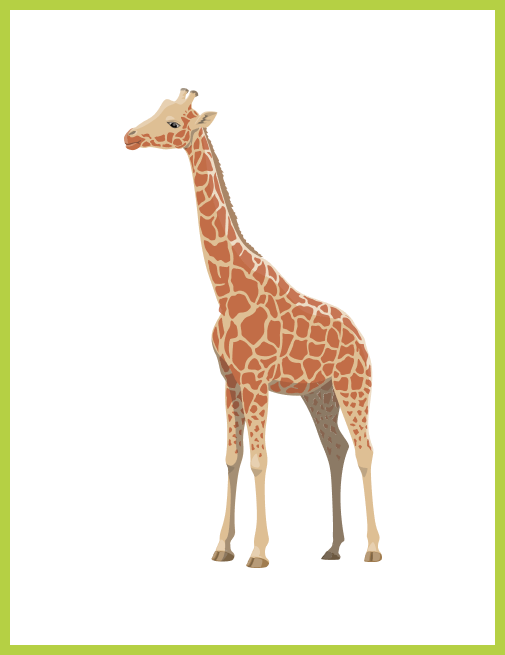 giraf-with-bg-white