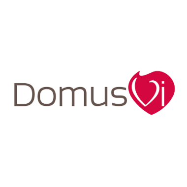 Domus Vi Logo